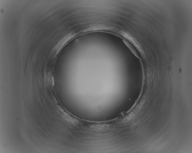 X0000070861185200606231245