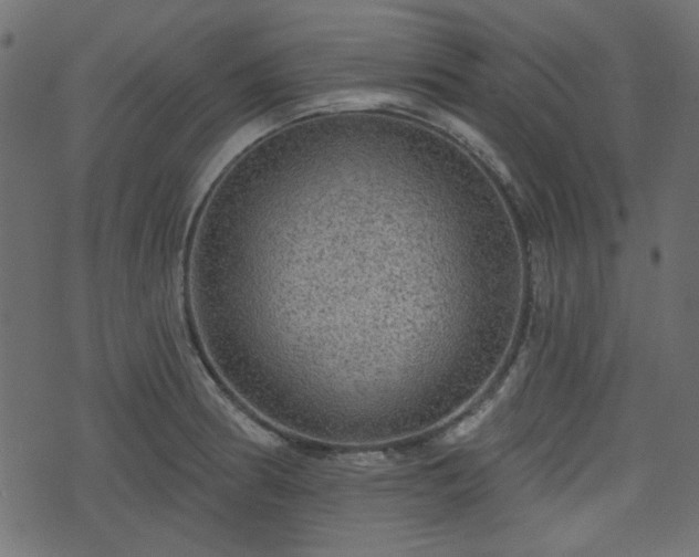 X0000070861186200606231245