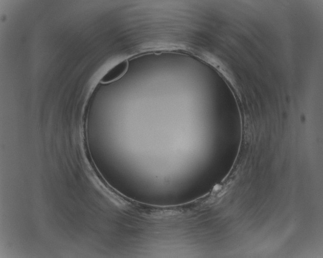 X0000070861187200606231245