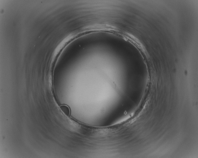 X0000070861188200606231245