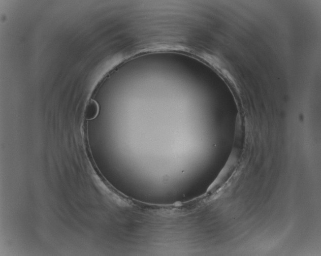 X0000070861189200606231245