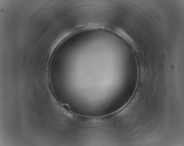 X0000070861190200606231245