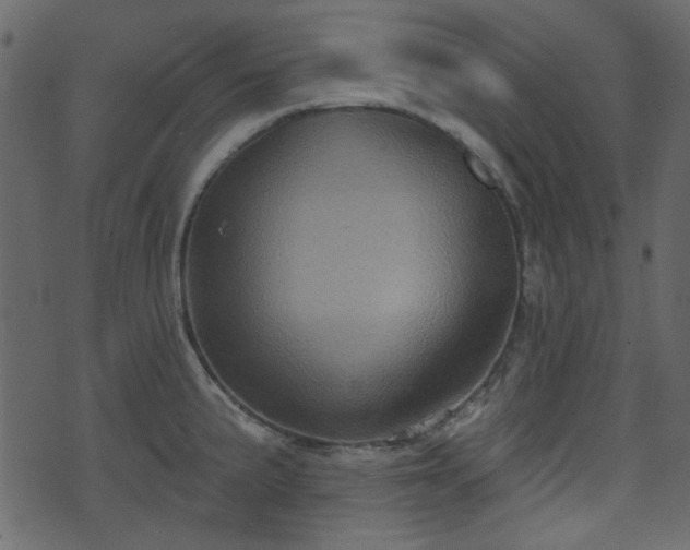 X0000070861191200606231245