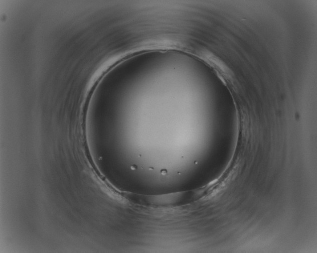 X0000070861192200606231245