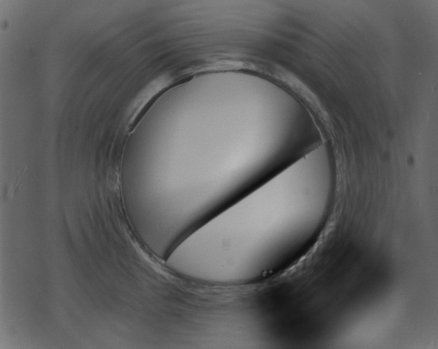 X0000070861193200606231245