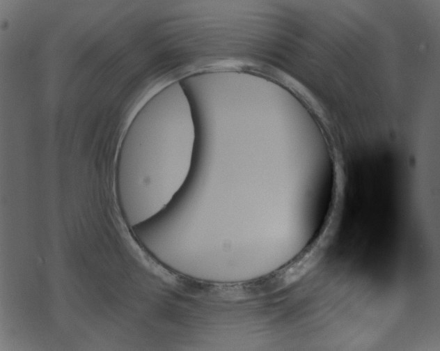 X0000070861194200606231245