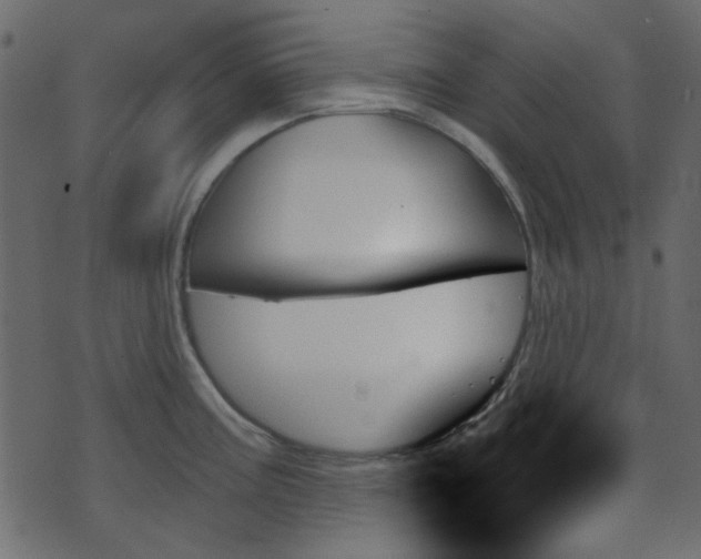 X0000070861195200606231245