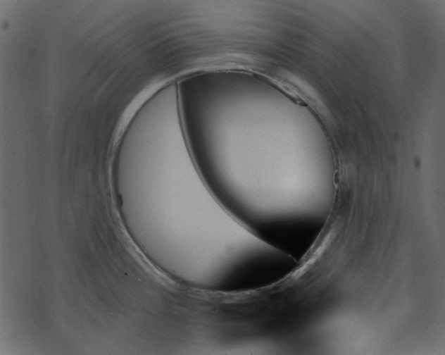 X0000070861196200606231245