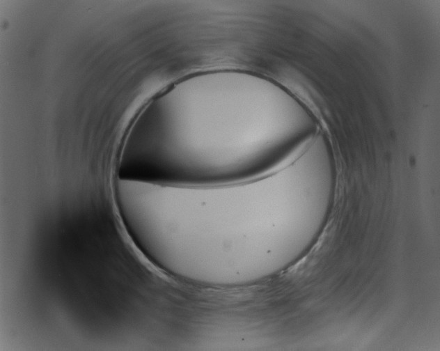 X0000070861197200606231245