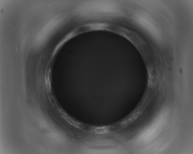 X0000070861198200606231245