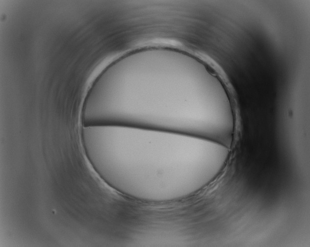 X0000070861199200606231245