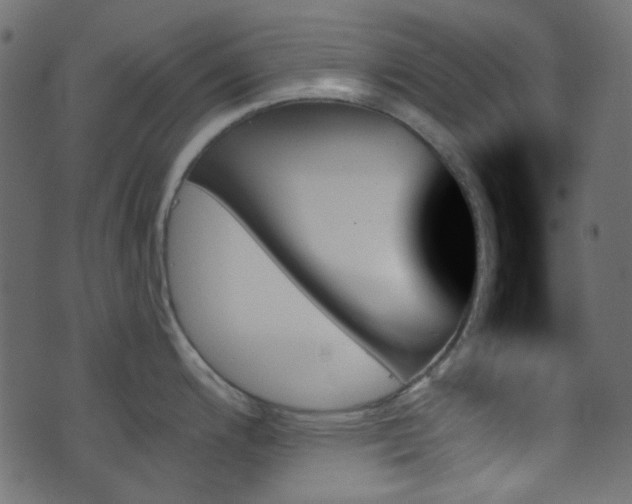 X0000070861200200606231245