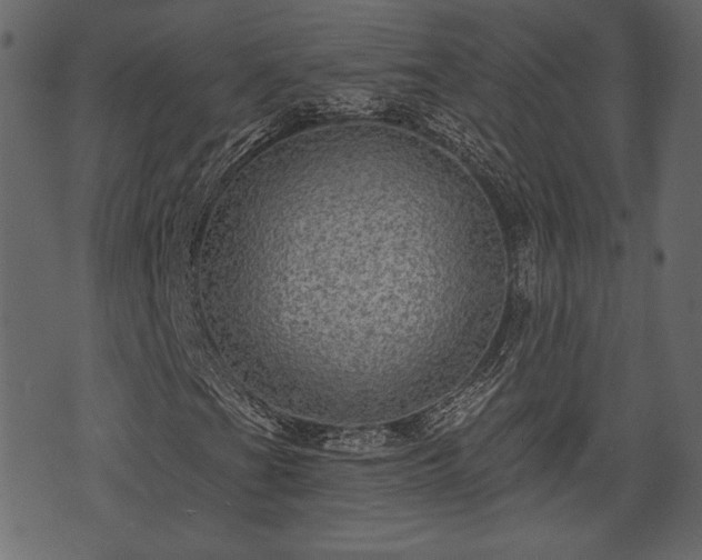 X0000070861201200606231244