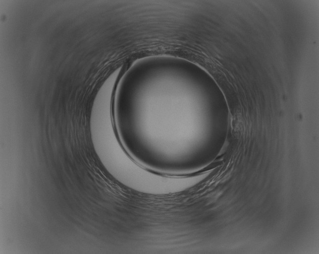 X0000070861202200606231244