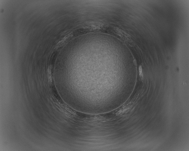 X0000070861203200606231244