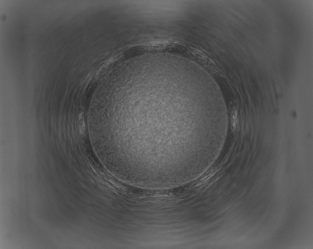 X0000070861204200606231244