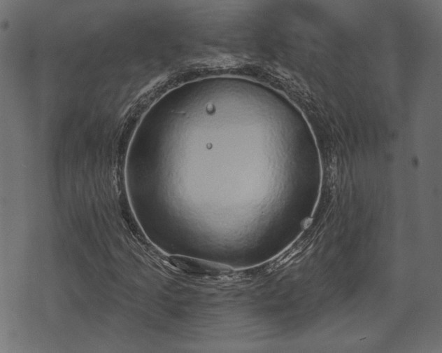 X0000070861205200606231244