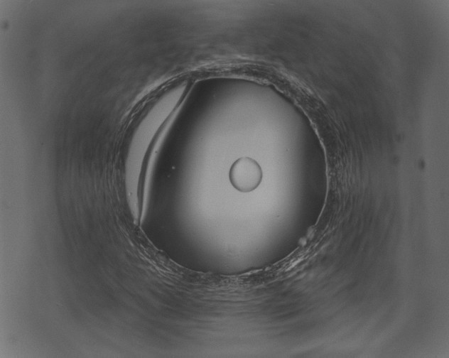 X0000070861206200606231244