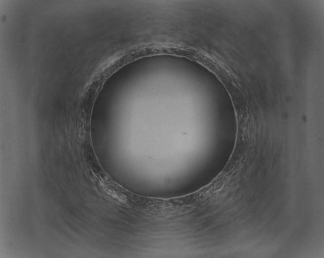 X0000070861207200606231244