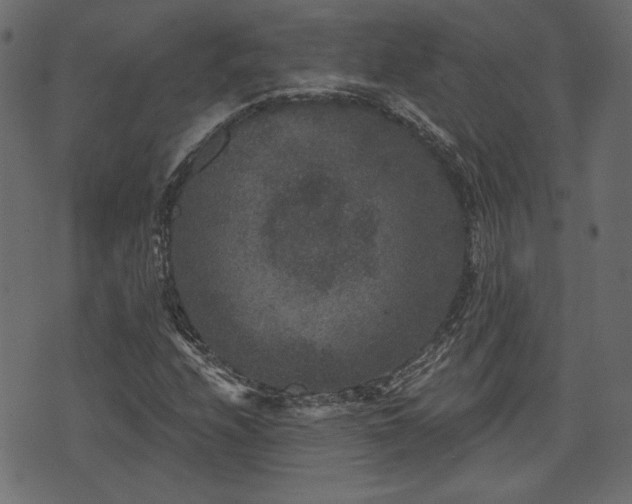 X0000070861208200606231244