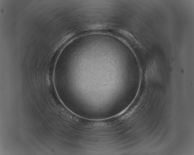 X0000070861209200606231244