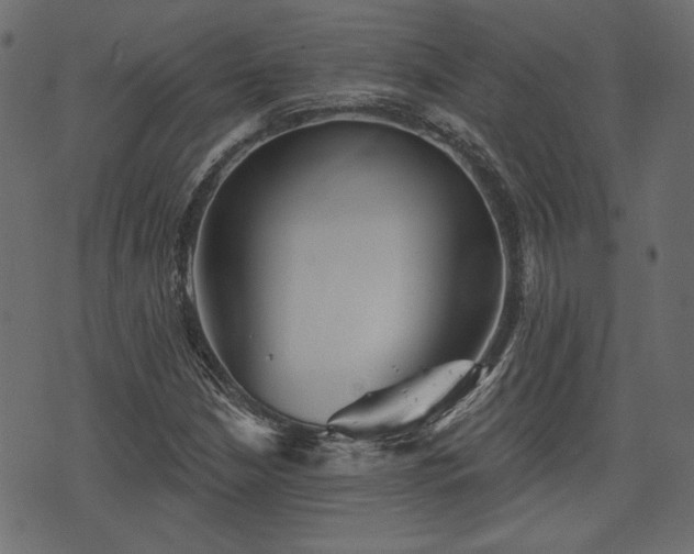 X0000070861210200606231244