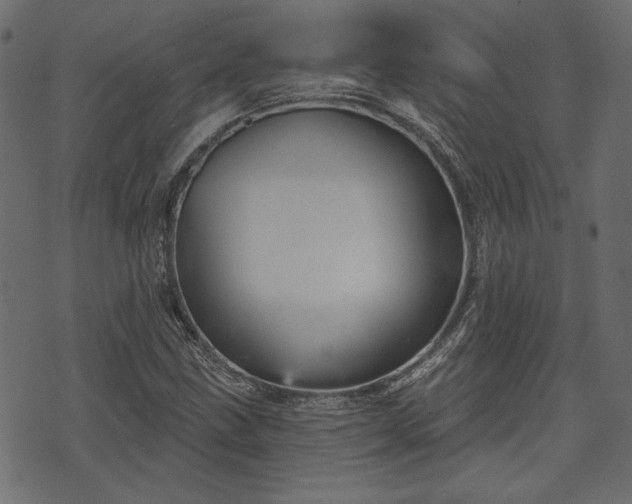 X0000070861211200606231244