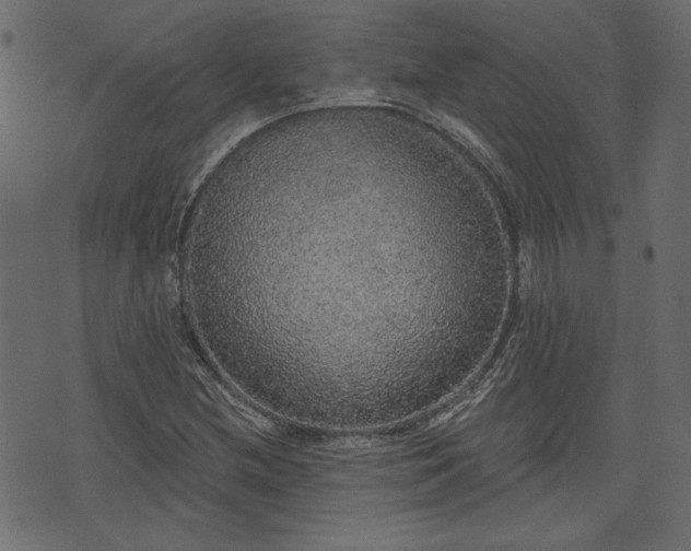 X0000070861212200606231244