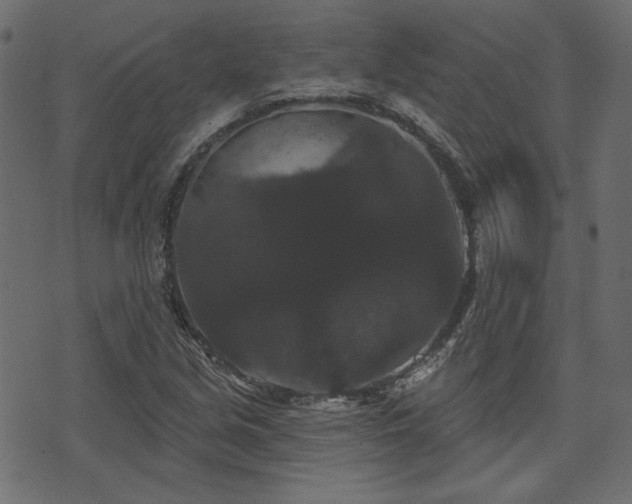 X0000070861213200606231244