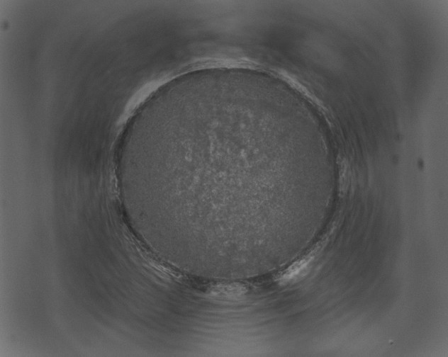 X0000070861215200606231244