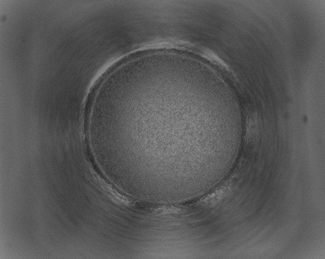 X0000070861216200606231244