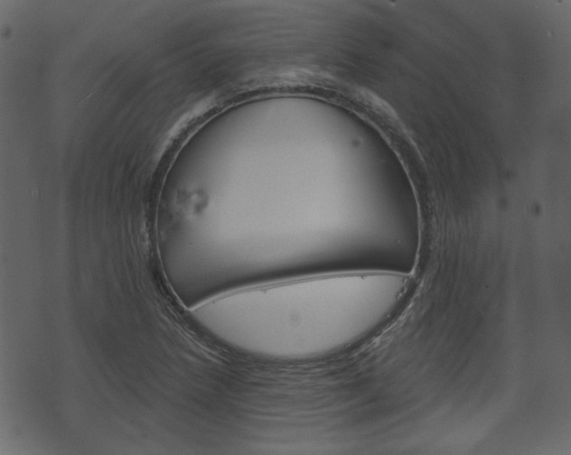 X0000070861218200606231244