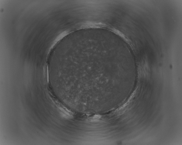 X0000070861219200606231244