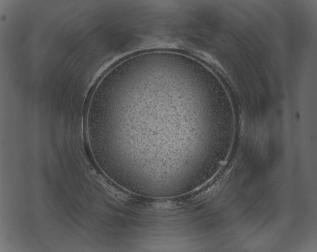 X0000070861220200606231244