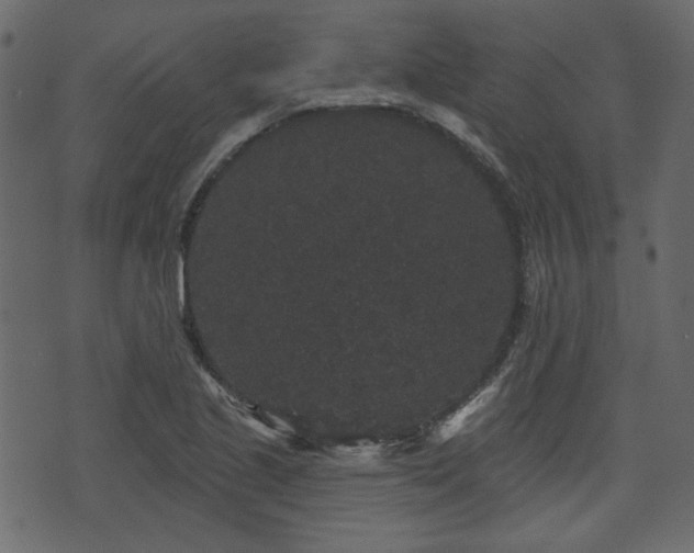 X0000070861221200606231244