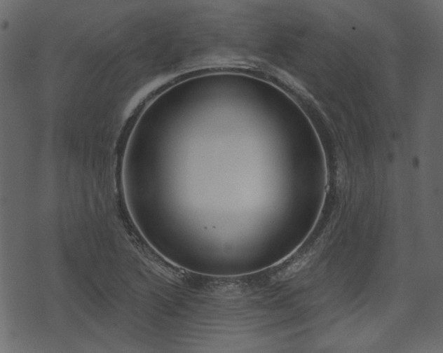 X0000070861222200606231244