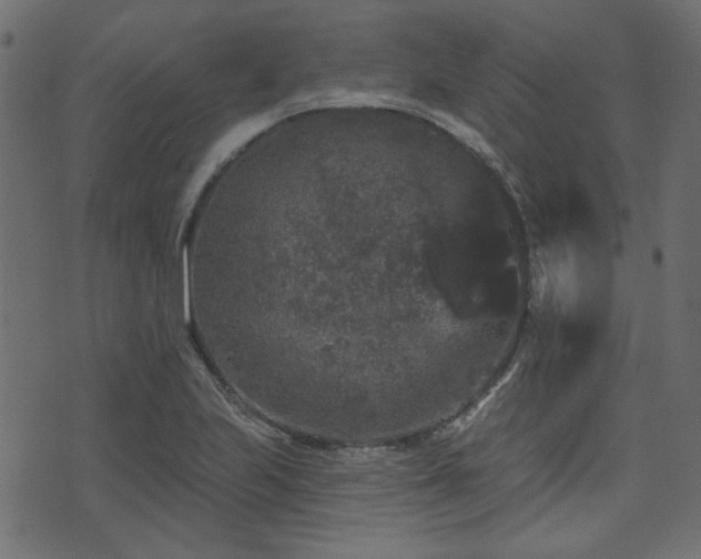 X0000070861223200606231244