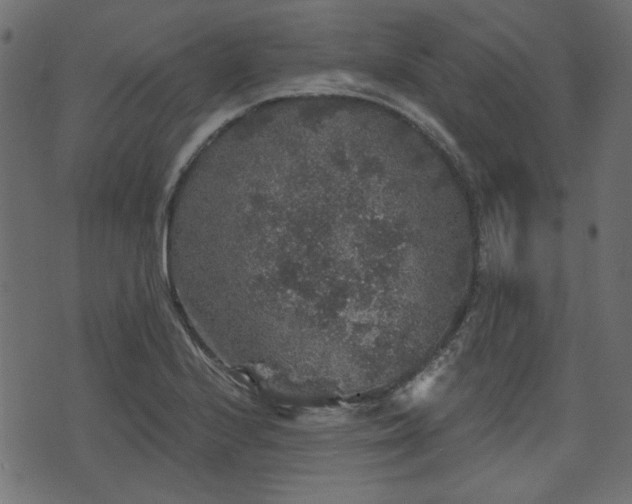 X0000070861224200606231244