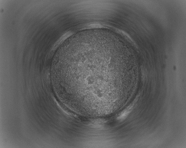 X0000070861225200606231244