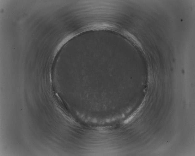 X0000070861226200606231244