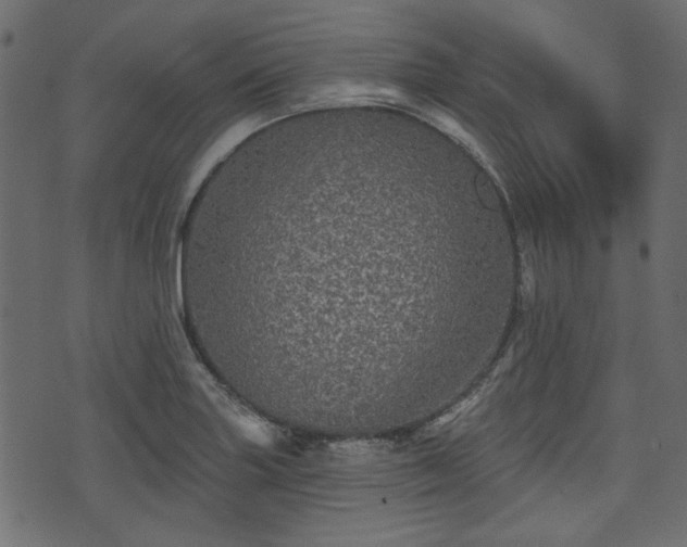 X0000070861227200606231245