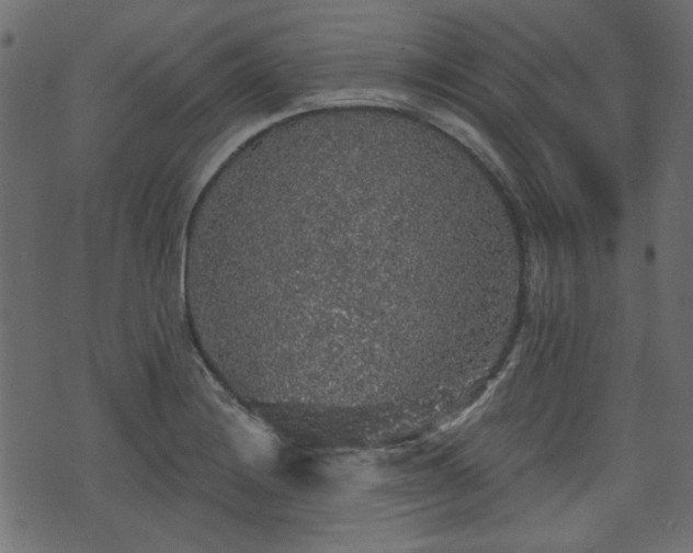 X0000070861228200606231245