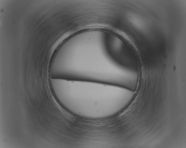 X0000070861229200606231245