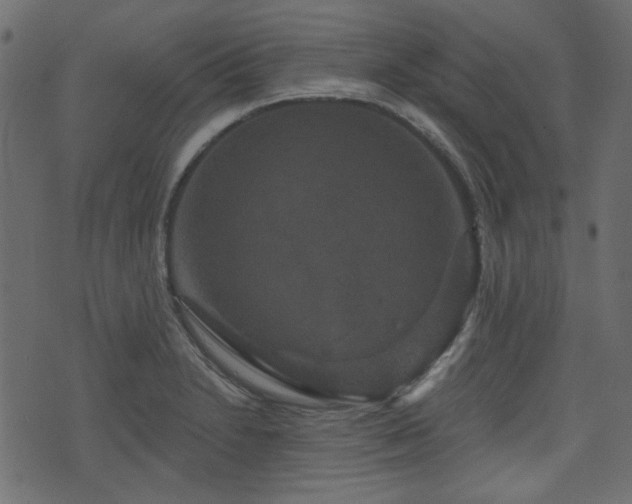 X0000070861230200606231245