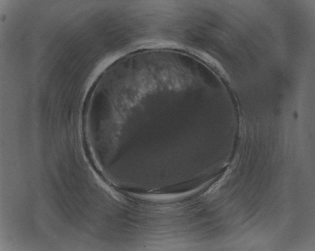 X0000070861231200606231245