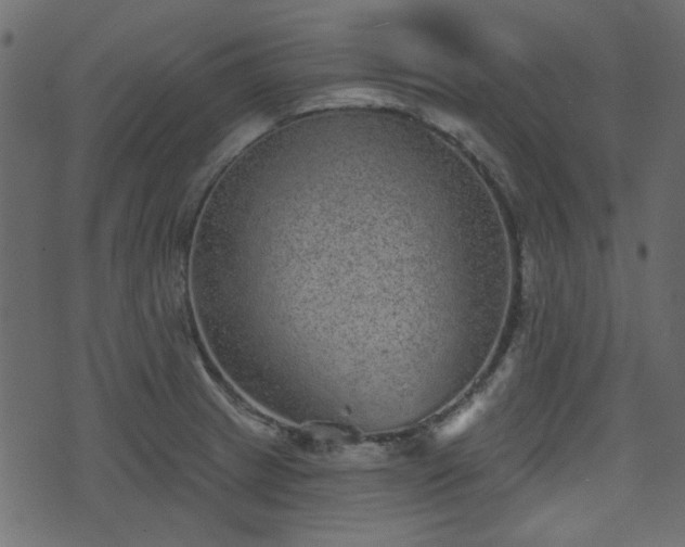 X0000070861233200606231245