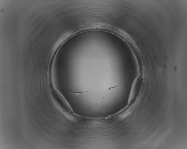 X0000070861234200606231245