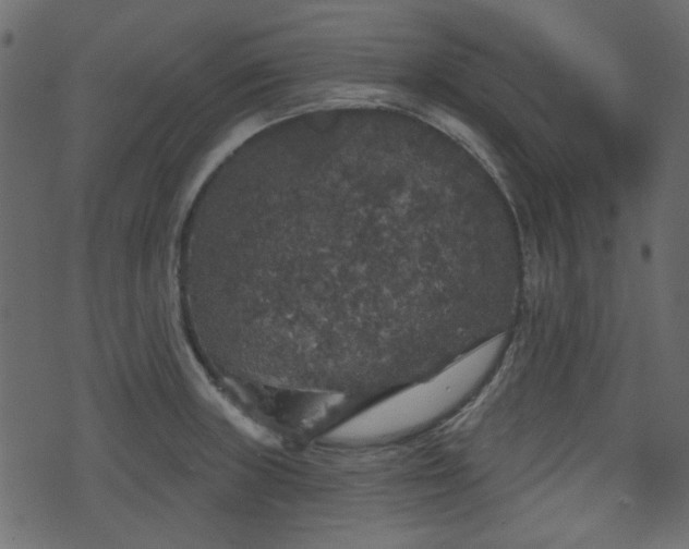 X0000070861235200606231245