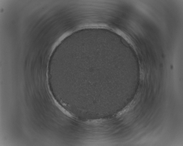 X0000070861237200606231245