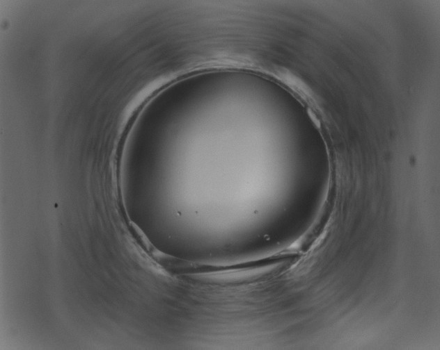 X0000070861238200606231245